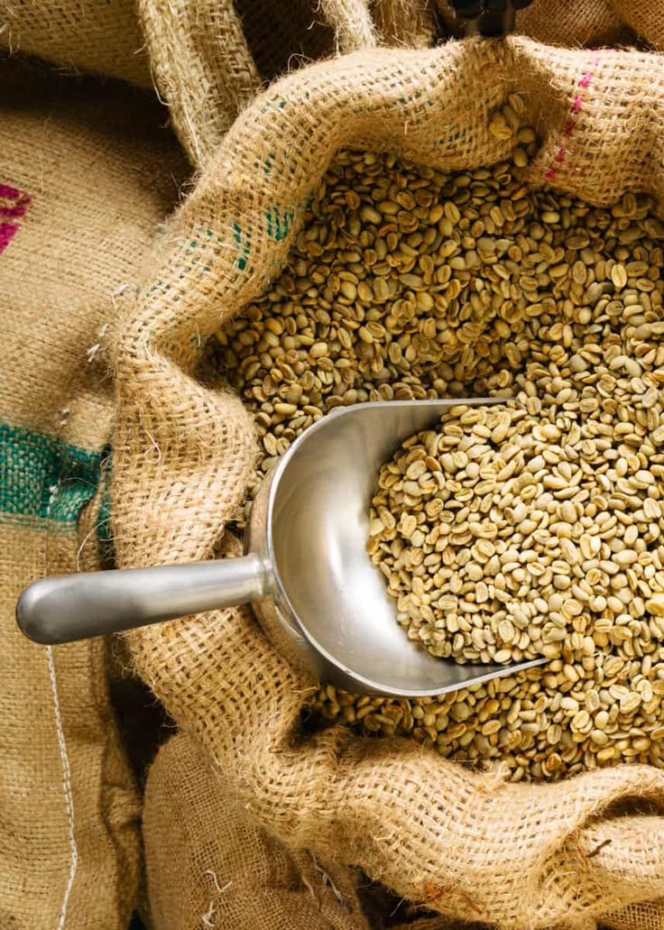 Sidamo Coffee
